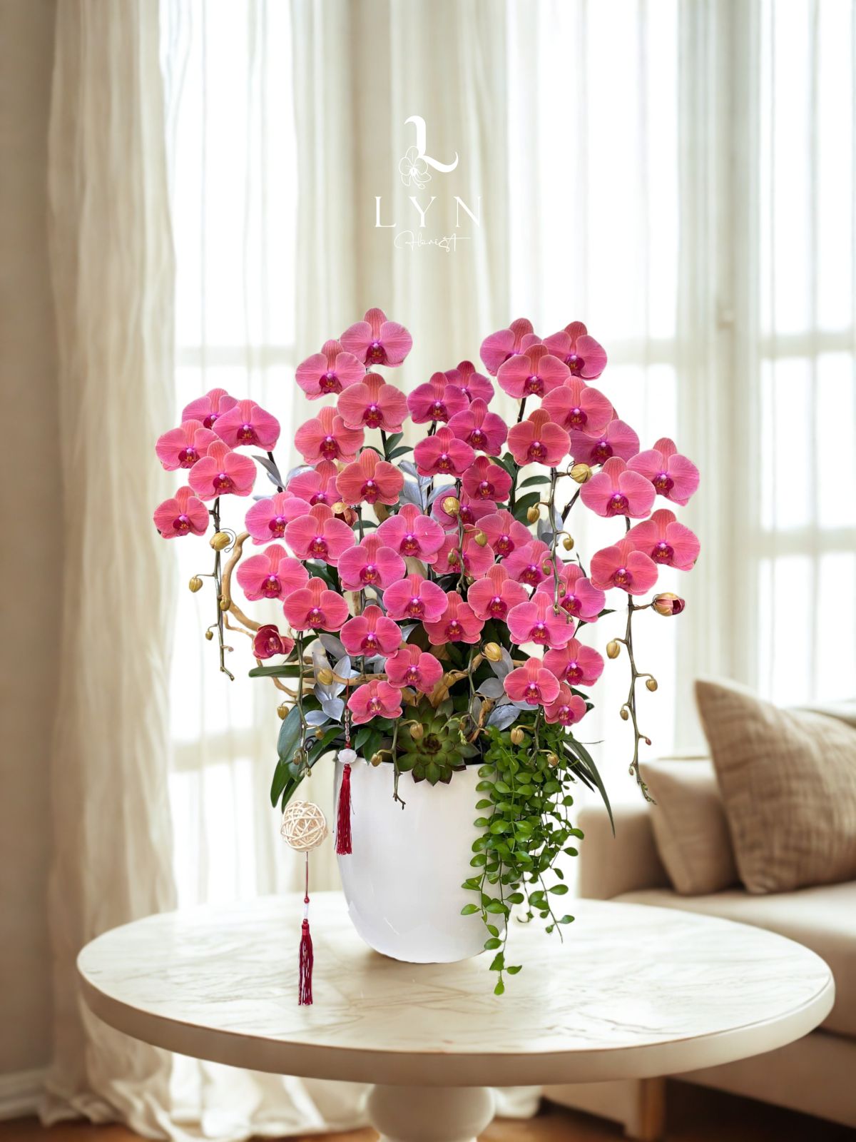 Chậu Hoa Lan Cam Hồng